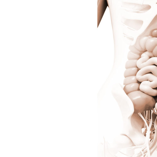 عيادات الباطنه