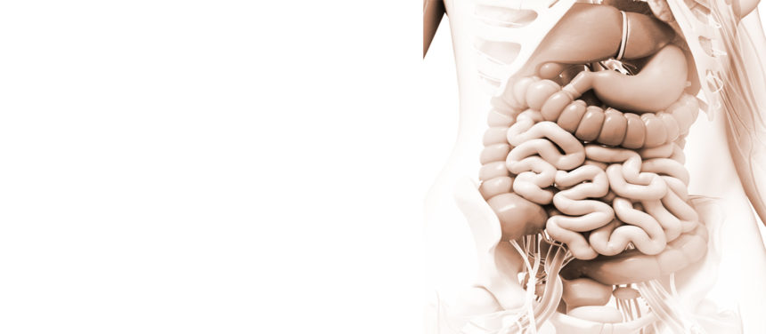 عيادات الباطنه